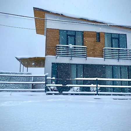 Cottage Marta Sadgeri Боржомі Екстер'єр фото